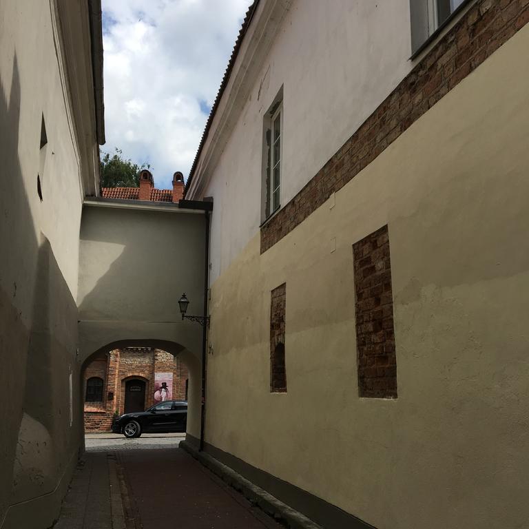 Skapas Street Vilnius Apartment ภายนอก รูปภาพ